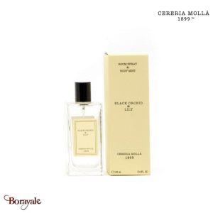 Brume d'intérieur 100 ml Cereria Molla Orchidée noire et lys