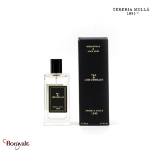 Brume d'intérieur 100 ml Cereria Molla Thé et Citronnelle