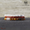 Bracelet Rebel & Rose Collection : Tiger Lily Taille M RR-60014-S-M