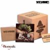 Montre Wewood Modèle CRISS Montre en bois WeWOOD CRISS Indian choco rough 70210-