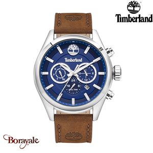 Montre Timberland ASHMONT Homme TBL.16062JYS/03