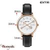 Montre EXTRI City Homme X3016RWMR