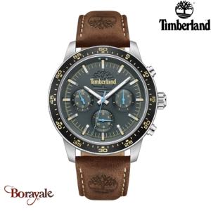 Montre Timberland Parkman Chrono Homme TDWGF0041301