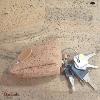 Porte clé et monnaie MONTADO en liège naturel, made in Portugal Femme 321COR-T
