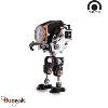 Montre Tacs Watch AVL II Bronze X Robotoys Edition Limitée Homme