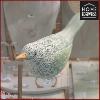 Oiseaux vert Home Edelweiss collection : Tukata 7 cm